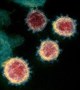 Disease Briefing: Coronaviruses